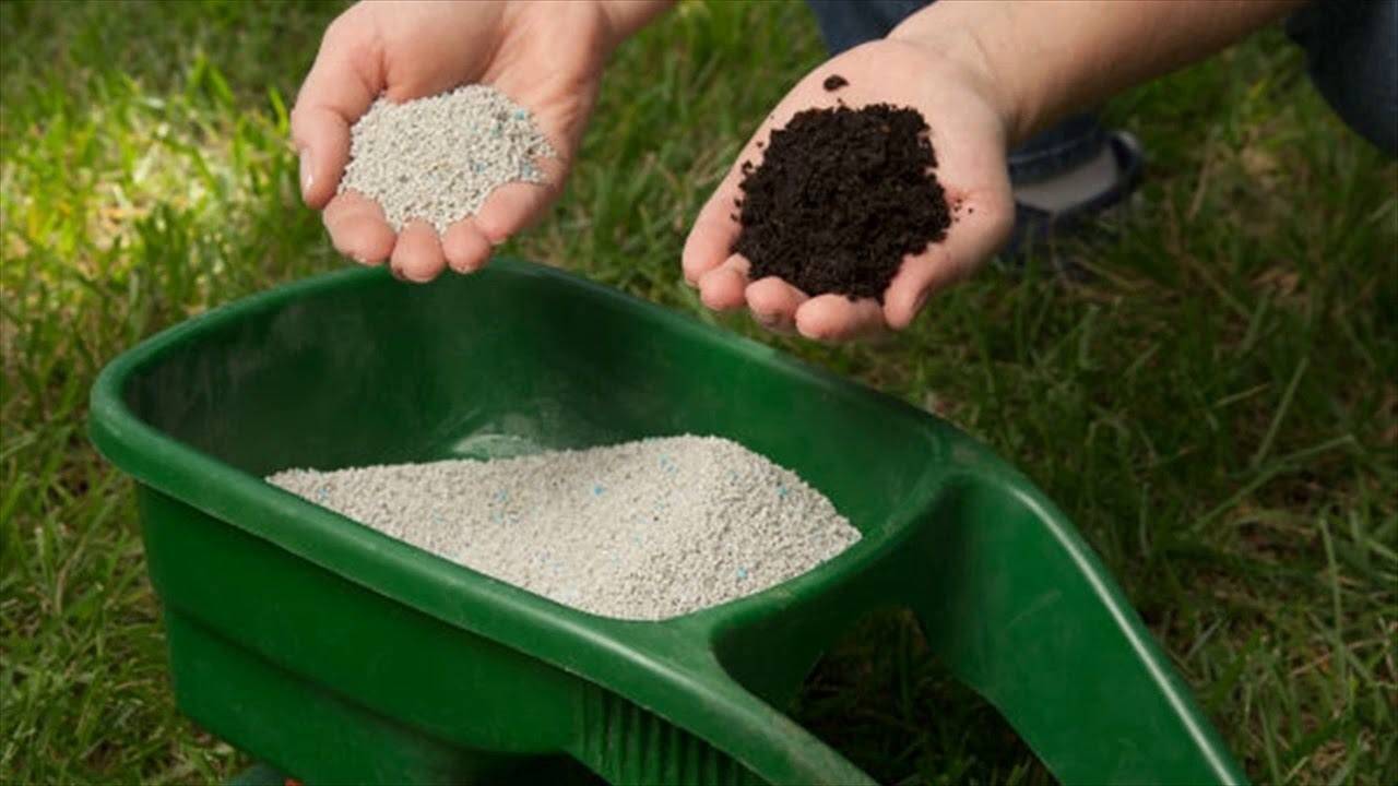 آهن به عنوان مهمترین ریزمغذی