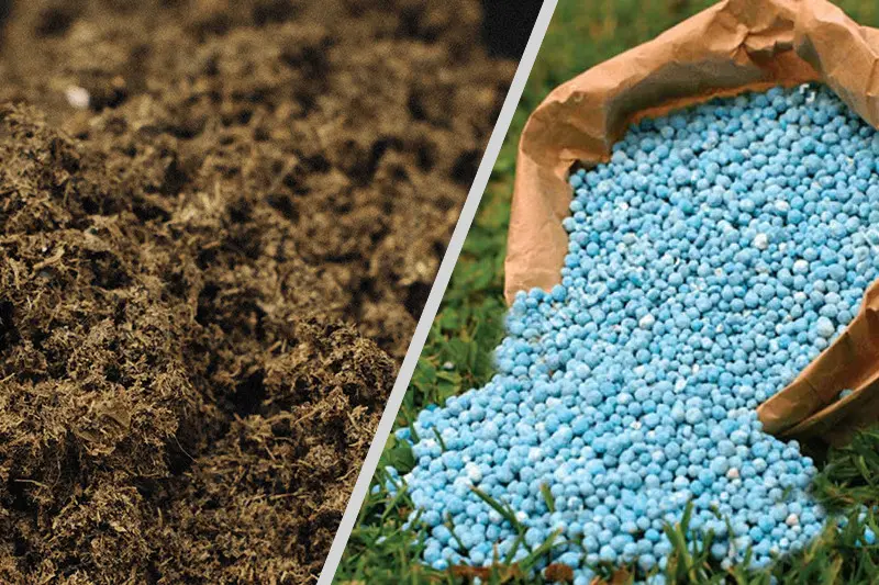 راندمان بالای کودهای شیمیایی با کمک آمینوکلاتها